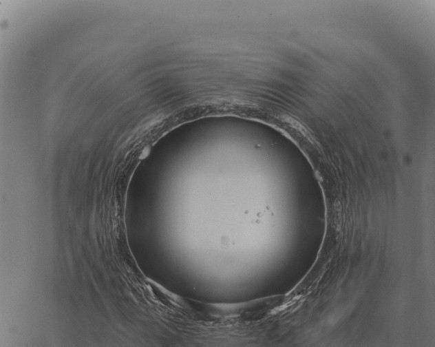 X0000066511111200603311722