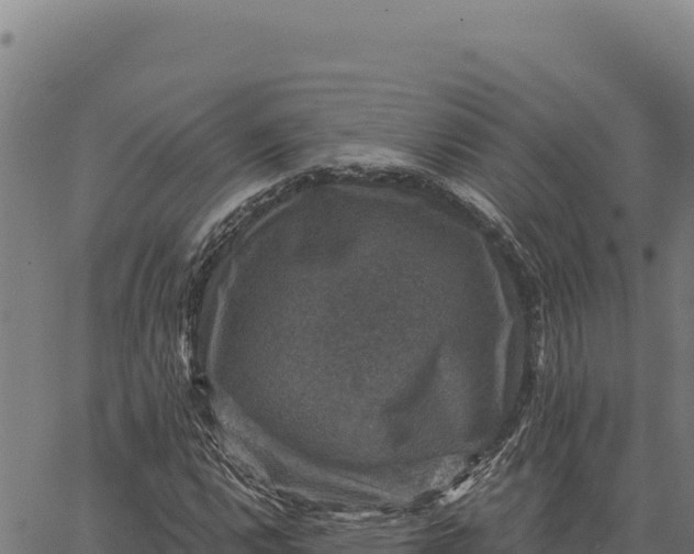 X0000066511112200603311722