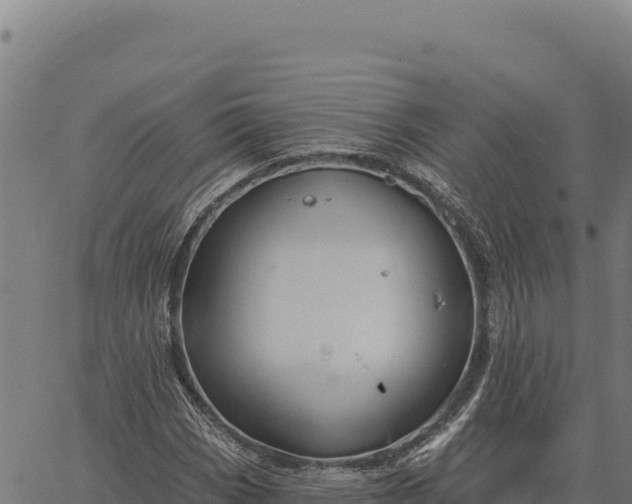 X0000066511113200603311722