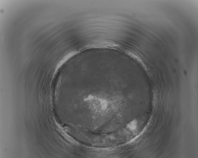 X0000066511114200603311722