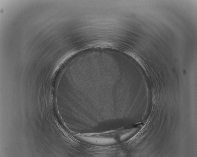 X0000066511115200603311722