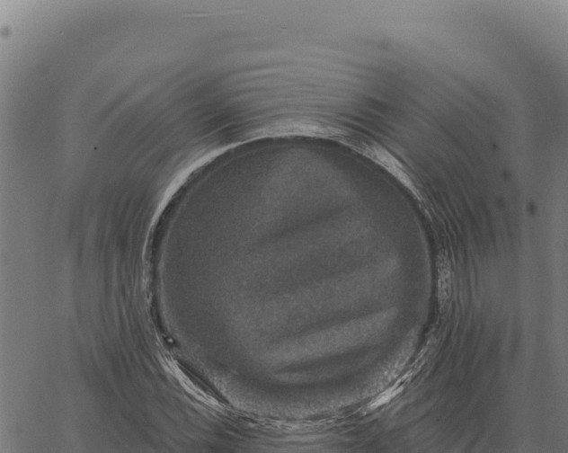 X0000066511116200603311722