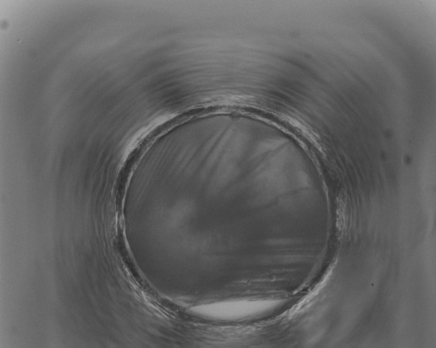 X0000066511117200603311722