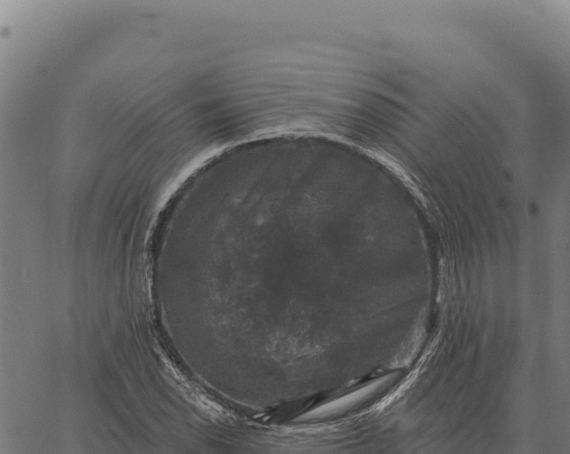 X0000066511118200603311722