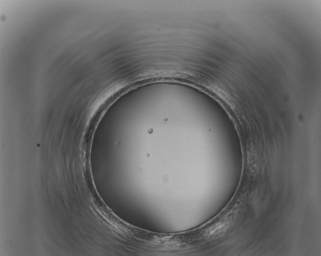 X0000066511119200603311722