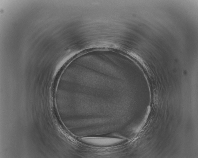 X0000066511120200603311723