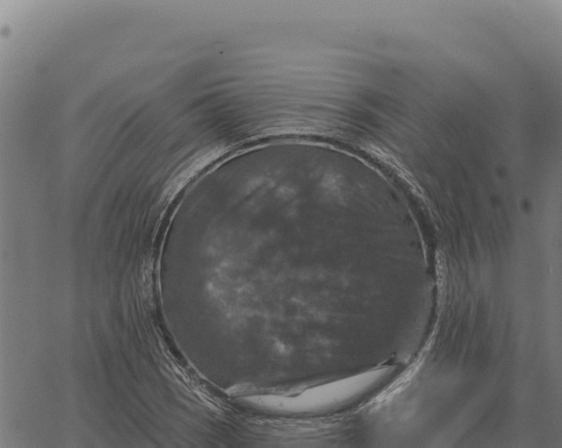 X0000066511121200603311723