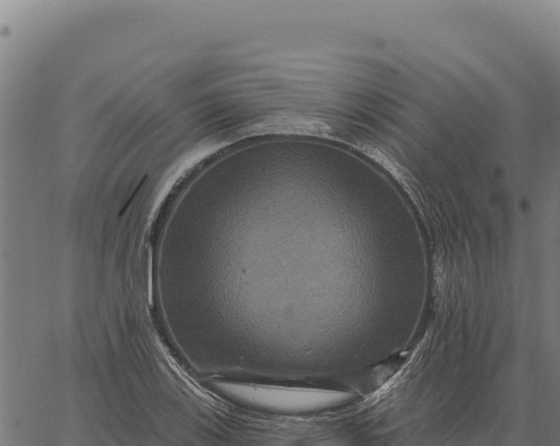 X0000066511123200603311723