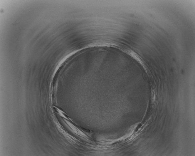 X0000066511124200603311723