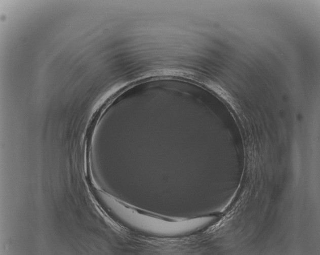 X0000066511127200603311723