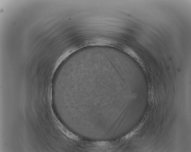 X0000066511130200603311723