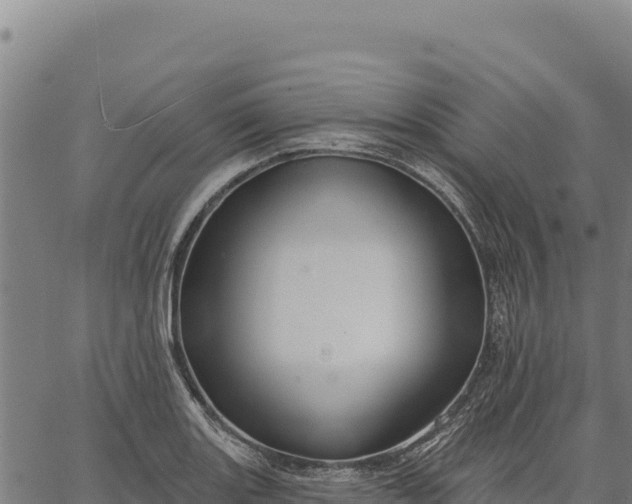 X0000066511131200603311723