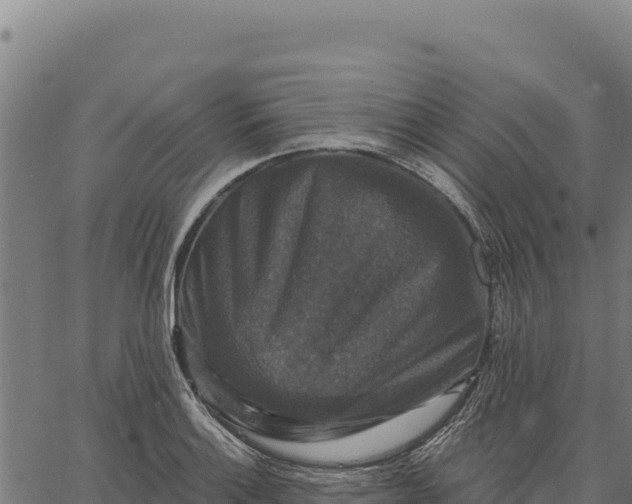 X0000066511132200603311723