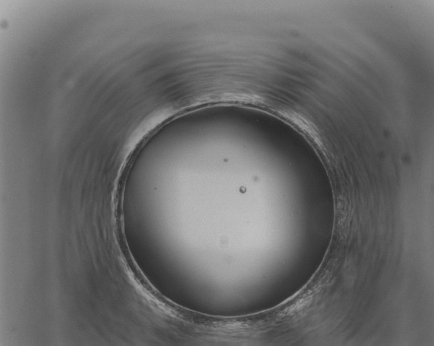 X0000066511135200603311723