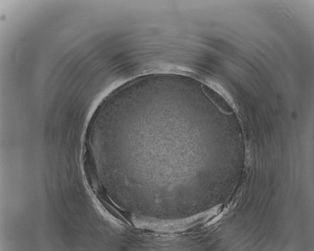 X0000066511136200603311723