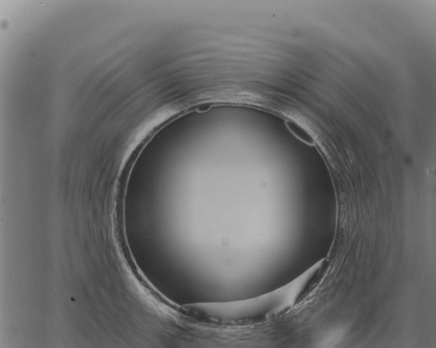 X0000066511139200603311723