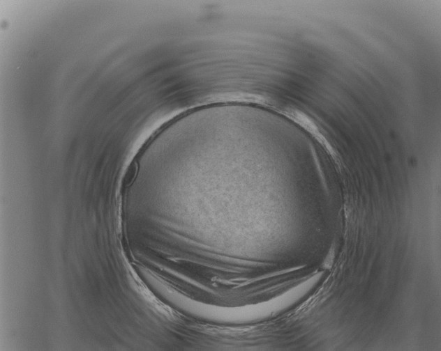 X0000066511140200603311723