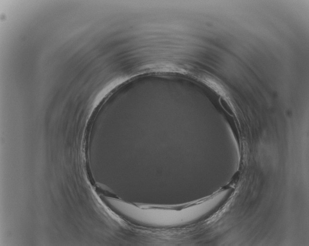 X0000066511141200603311723