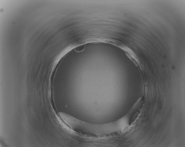 X0000066511143200603311723