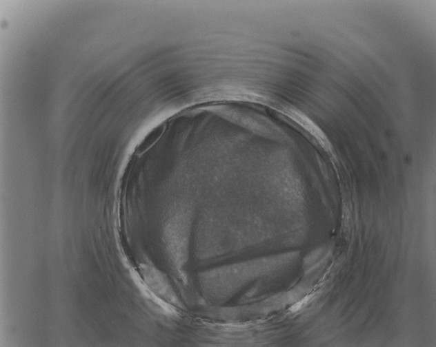 X0000066511144200603311723