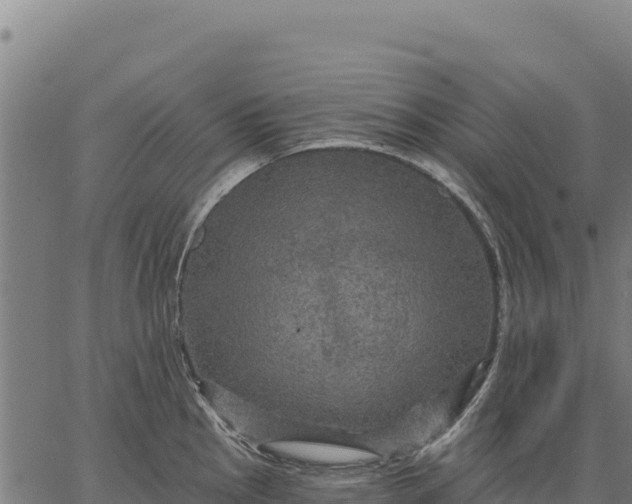 X0000066511145200603311723