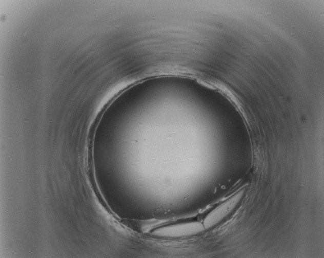 X0000066511147200603311723