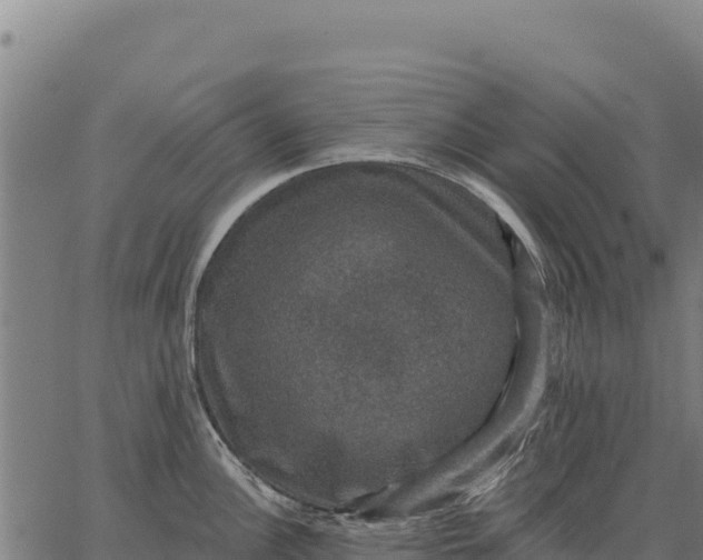 X0000066511148200603311723