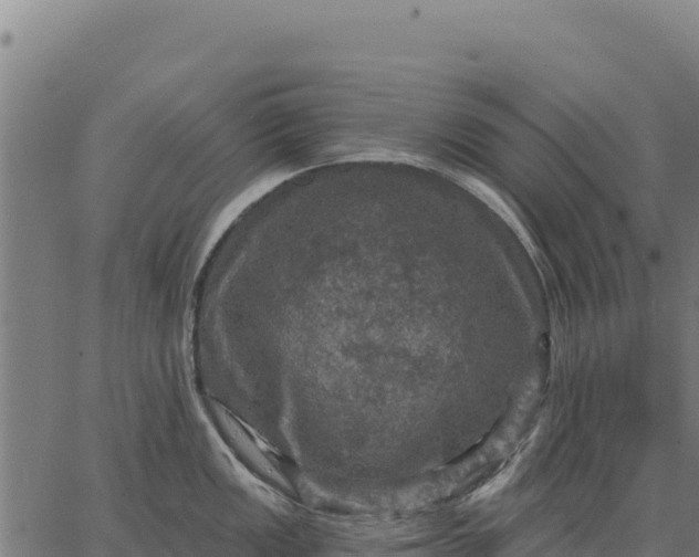 X0000066511149200603311723