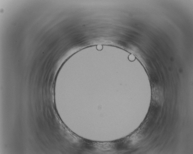 X0000066511150200603311723