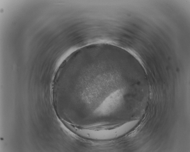 X0000066511151200603311723