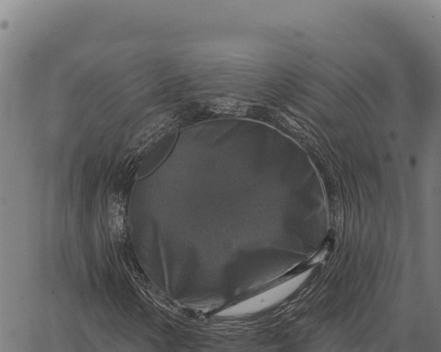 X0000066511154200603311722