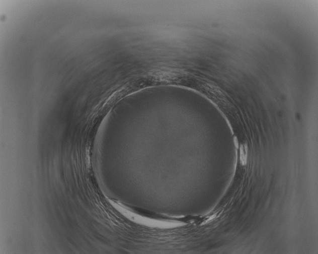 X0000066511155200603311722