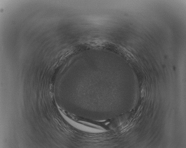 X0000066511156200603311722