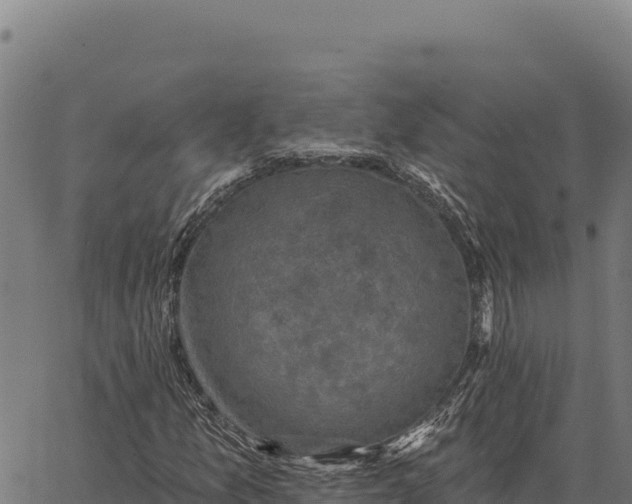 X0000066511157200603311722