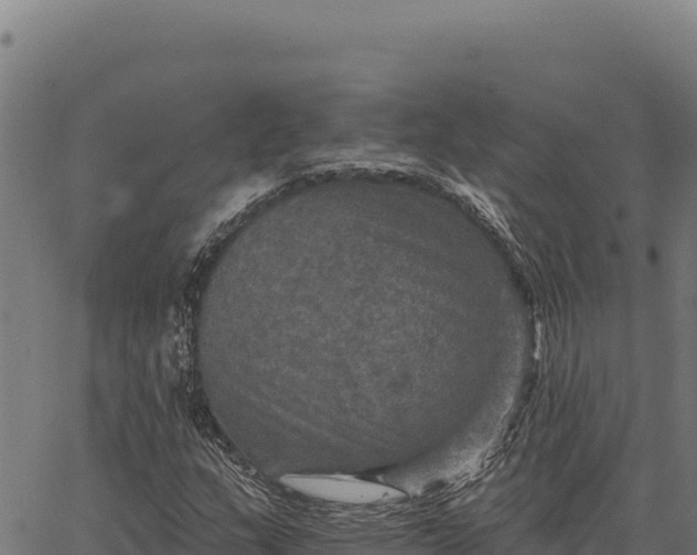 X0000066511159200603311722