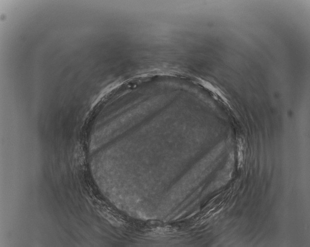 X0000066511160200603311722