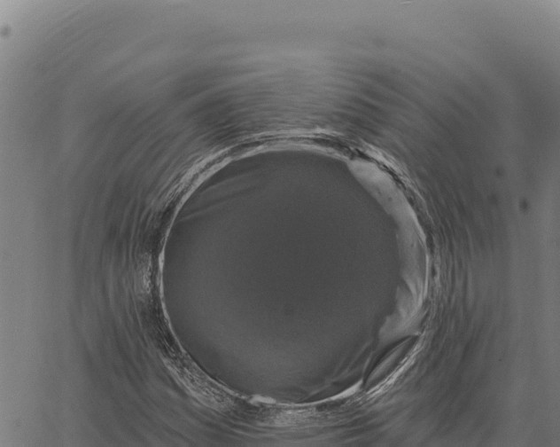 X0000066511161200603311722