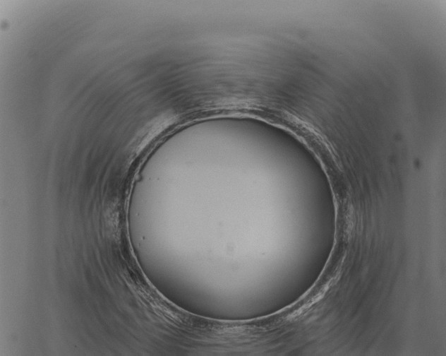 X0000066511162200603311722