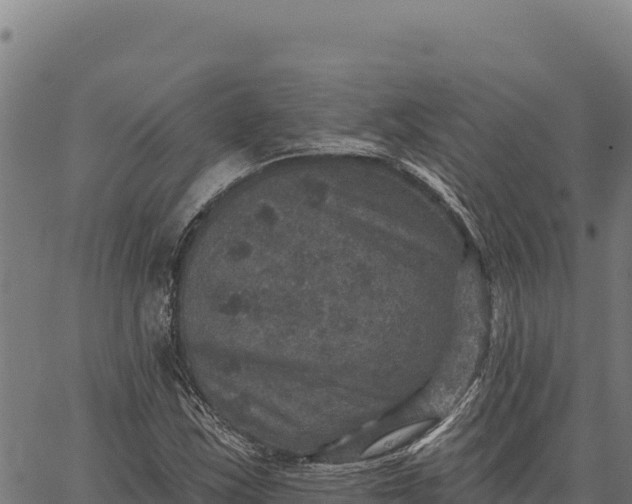 X0000066511163200603311722