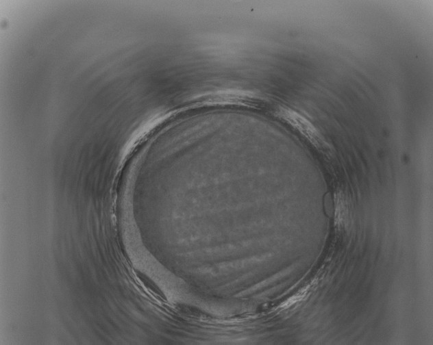 X0000066511164200603311722