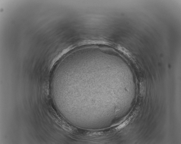 X0000066511165200603311722