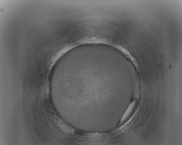 X0000066511167200603311722