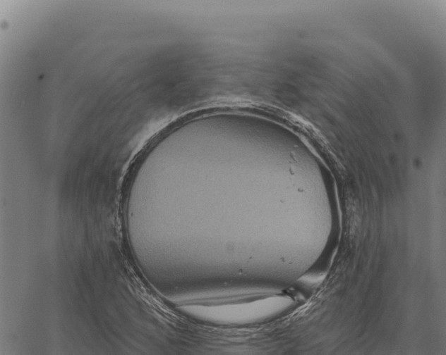 X0000066511168200603311722