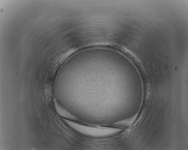 X0000066511169200603311722