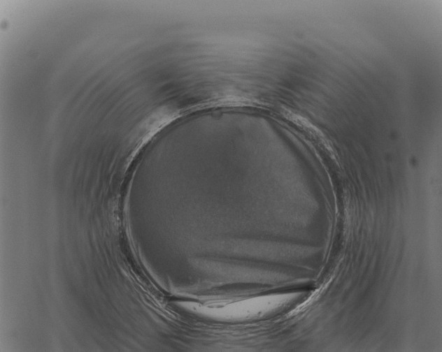 X0000066511170200603311722