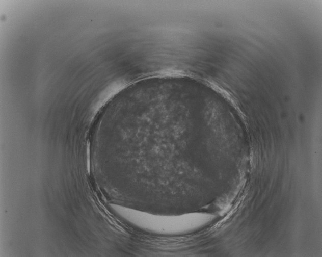 X0000066511171200603311722