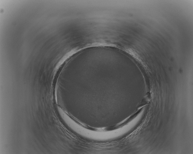 X0000066511173200603311722