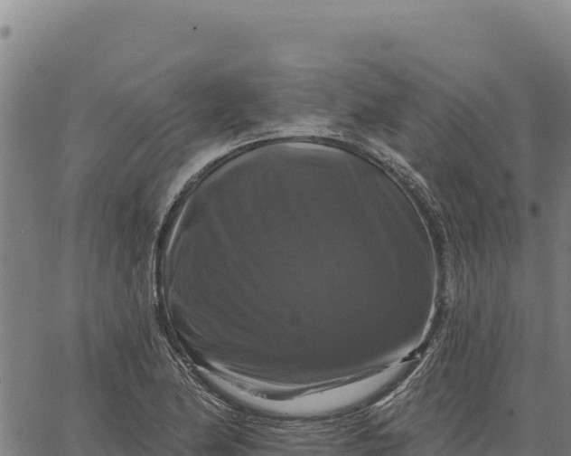 X0000066511174200603311722