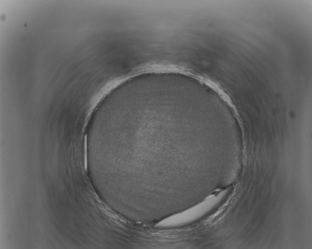 X0000066511175200603311722