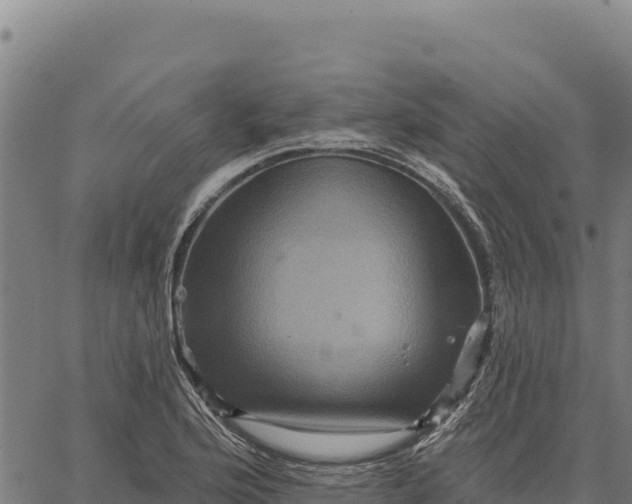 X0000066511176200603311722